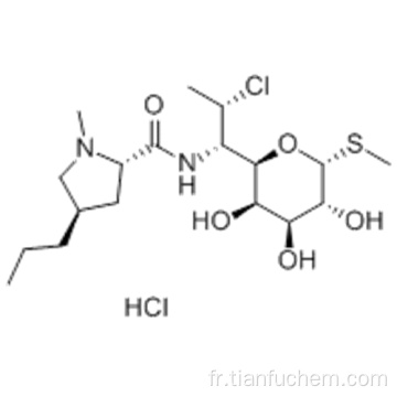 Chlorhydrate de clindamycine CAS 21462-39-5